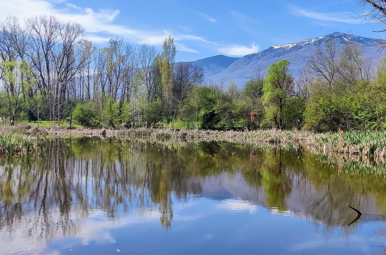 Започна възстановяването на езерата в Южния парк по идея на граждани