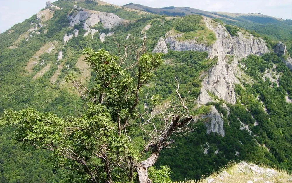 Спасиха изгубени туристи в Котленския Балкан