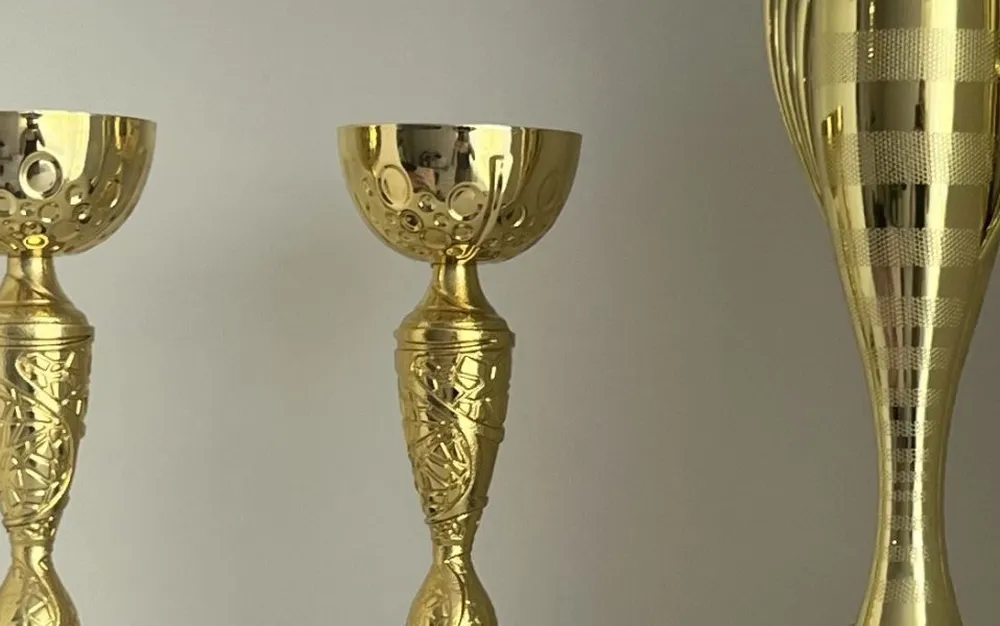 Шампиони по борба изгледаха дебютния турнир за Купа "Дупница"