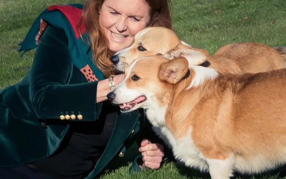 Коргито на кралица Елизабет бърка Сара Фъргюсън със своята покойна стопанка