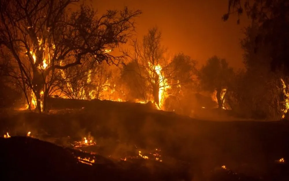 Гърция изпрати два самолета, за да се справят с горския пожар в Кипър