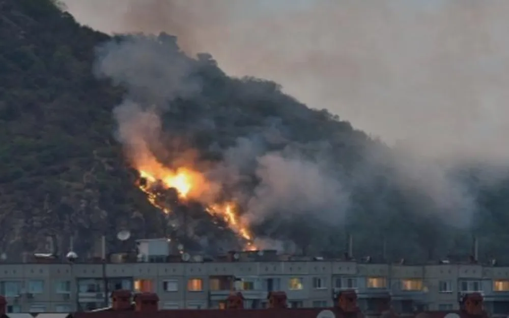 Овладян е пожарът на Младежкия хълм в Пловдив - подробности