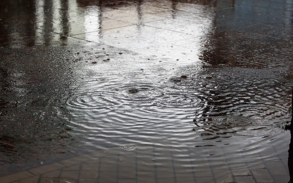 Мощна буря мина през Монтанско