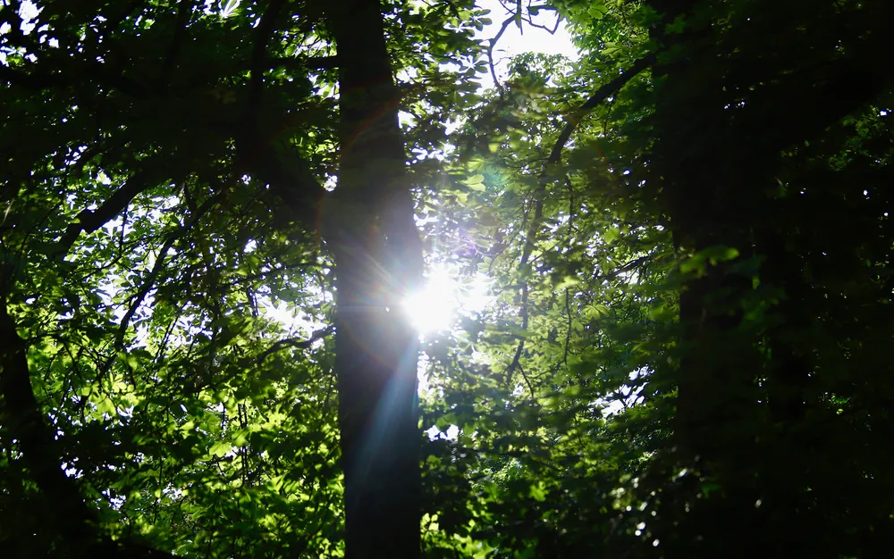 Предимно слънчево, краткотрайни валежи над Родопите