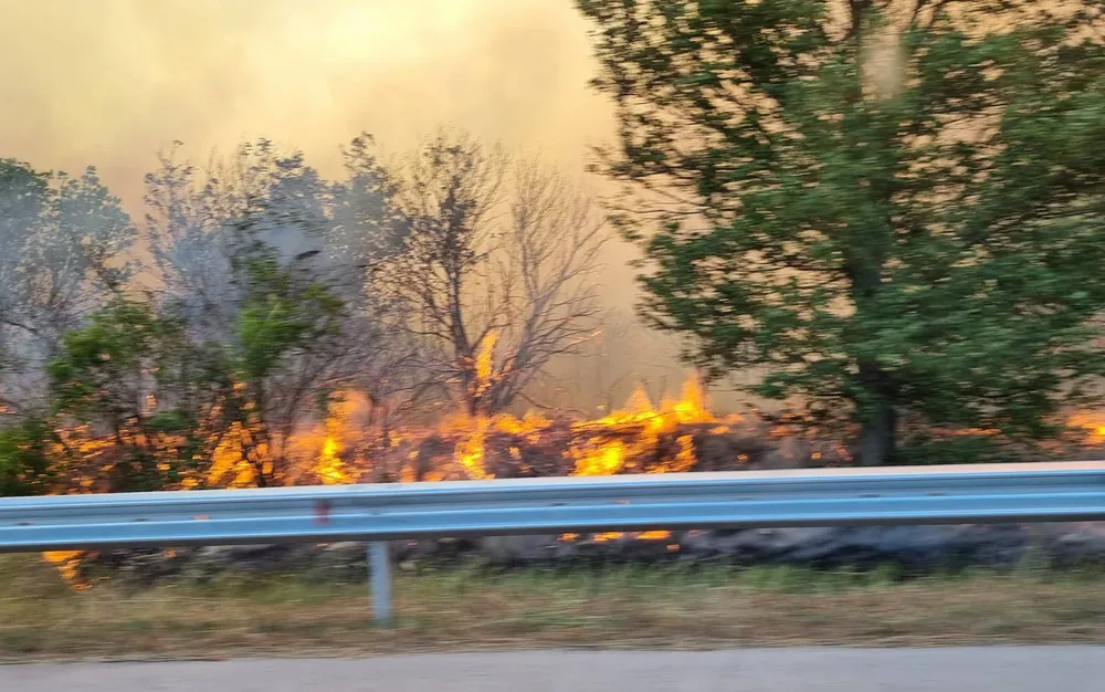 Около 1500 декара гори са унищожени от големия пожар край варненското село Слънчево