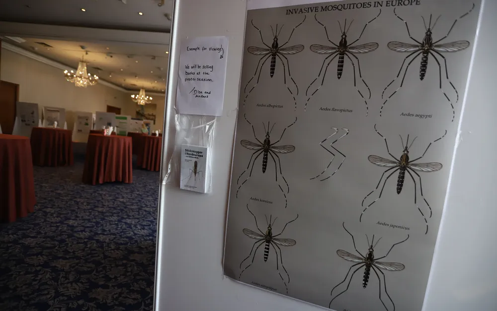 Защо комарите подбират кого да хапят?