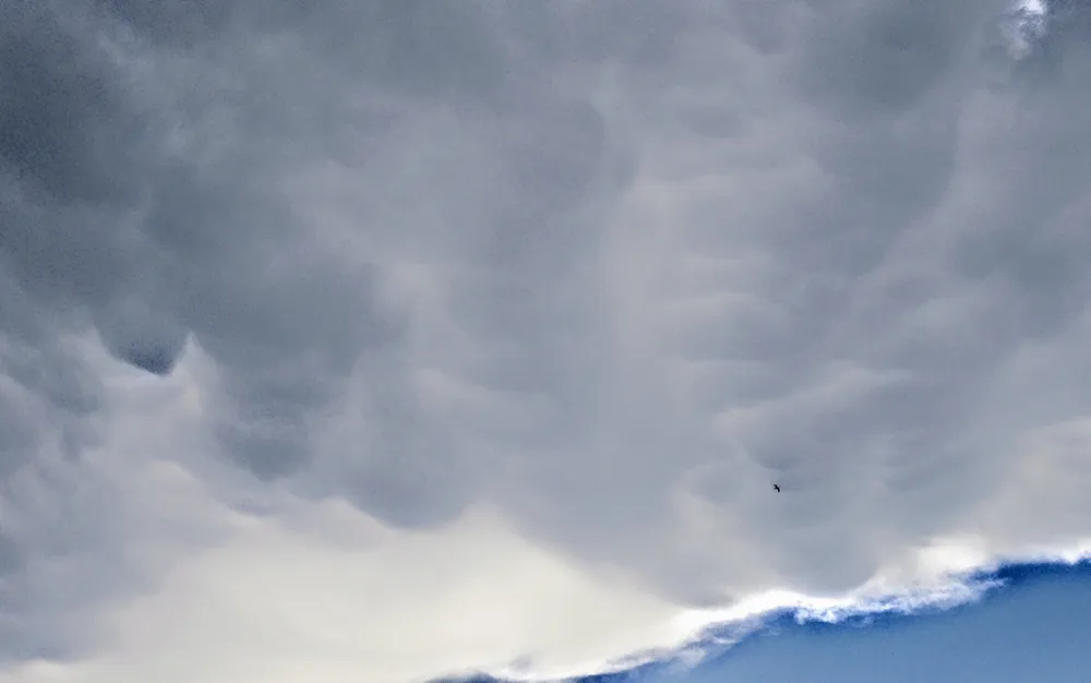 Градушка унищожи насаждения в Русе, пострадаха 30 производители на плодове - ВИДЕО