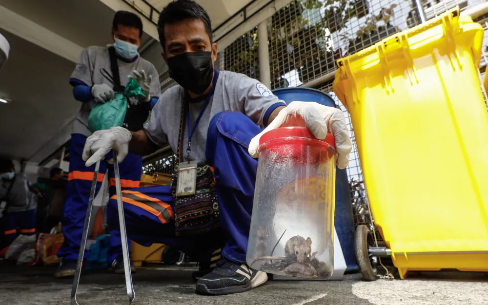 Париж се готви за топло посрещане на Олимпиадата - с изключение на плъховете