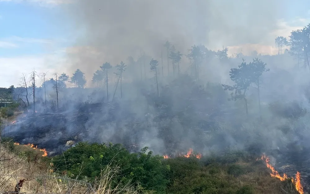 Пожарът в Гърция се разраства към българската граница