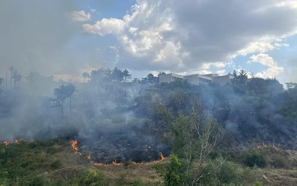 Пожарът в планината Славянка е овладян - СНИМКИ