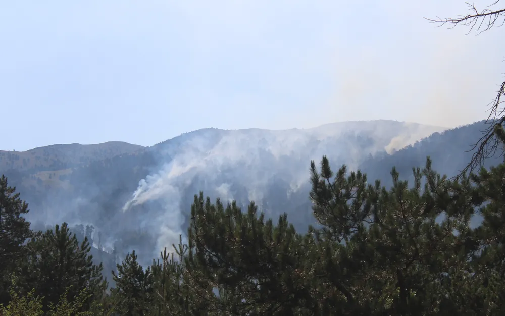 Продължават усилията за овладяване на пожара на българо-гръцката граница - ВИДЕО