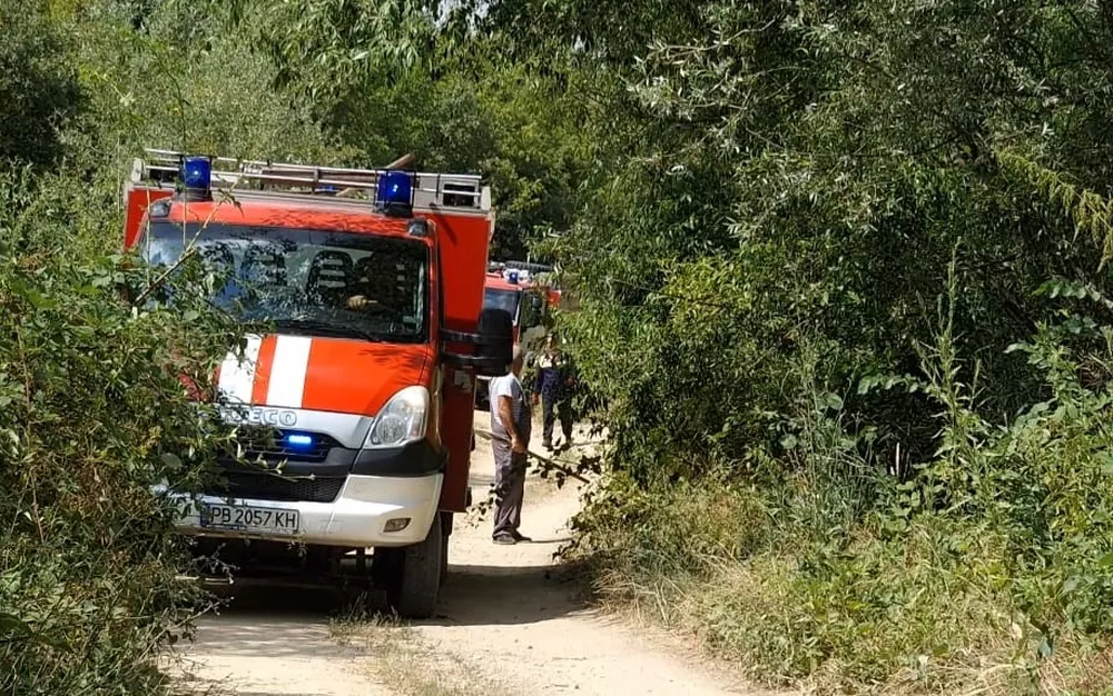 Огнеборци гасят пожар в подножието на Витоша в София
