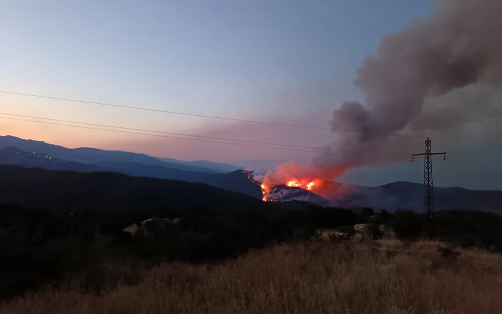 Пожар край Цепарево тръгна към къщите в селото, гасенето продължава утре - подробности - СНИМКИ