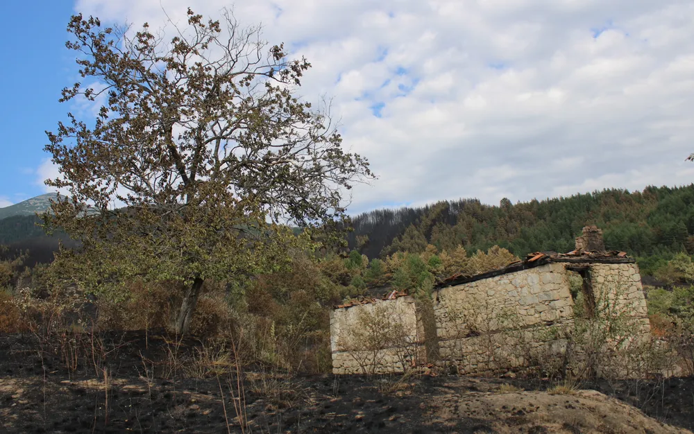 Сенокос: Плачът на изгорената земя - СНИМКИ - ВИДЕО