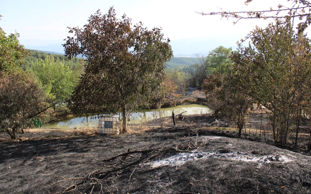 Пожарът в планината Славянка продължава да гори активно - СНИМКИ