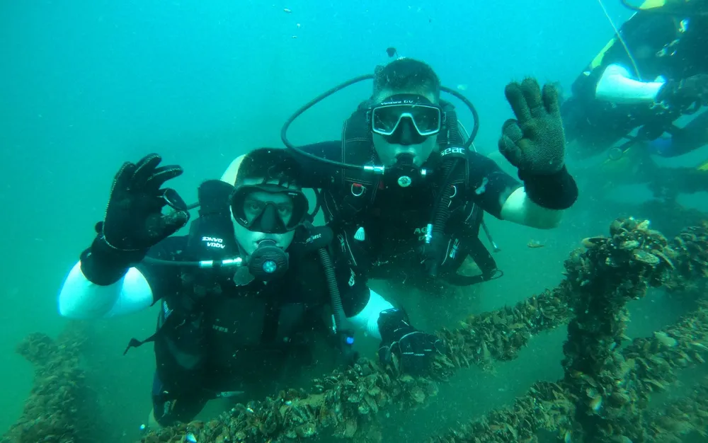 Водолази от Сухопътните войски повишиха подготовката си - СНИМКИ