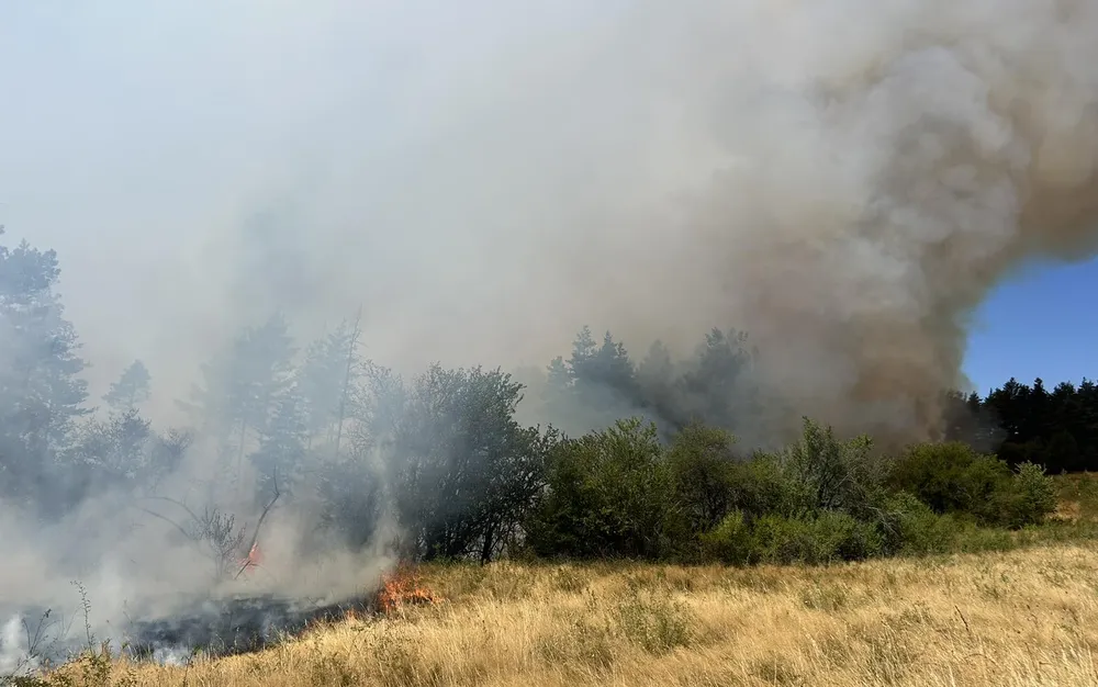 Пожар гори край горското стопанство в Самоков, заплашва село Алино - СНИМКИ