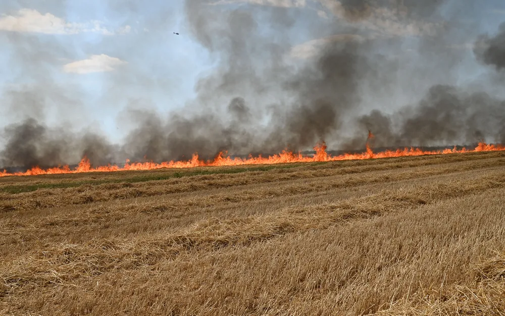 Горските пожари във Франция принудиха хиляди да избягат