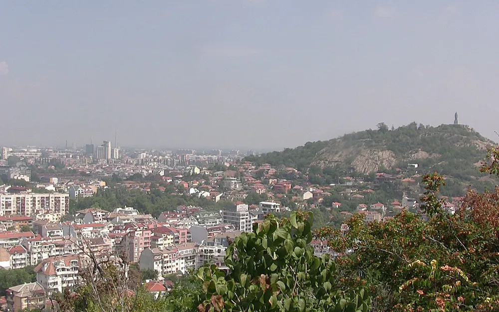 Палене на барбекю е причина за пожара на Младежкия хълм в Пловдив