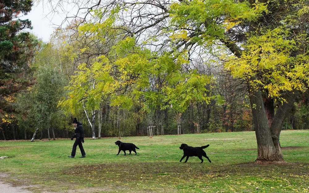 Ветровито с купести облаци на запад в четвъртък, 22 август