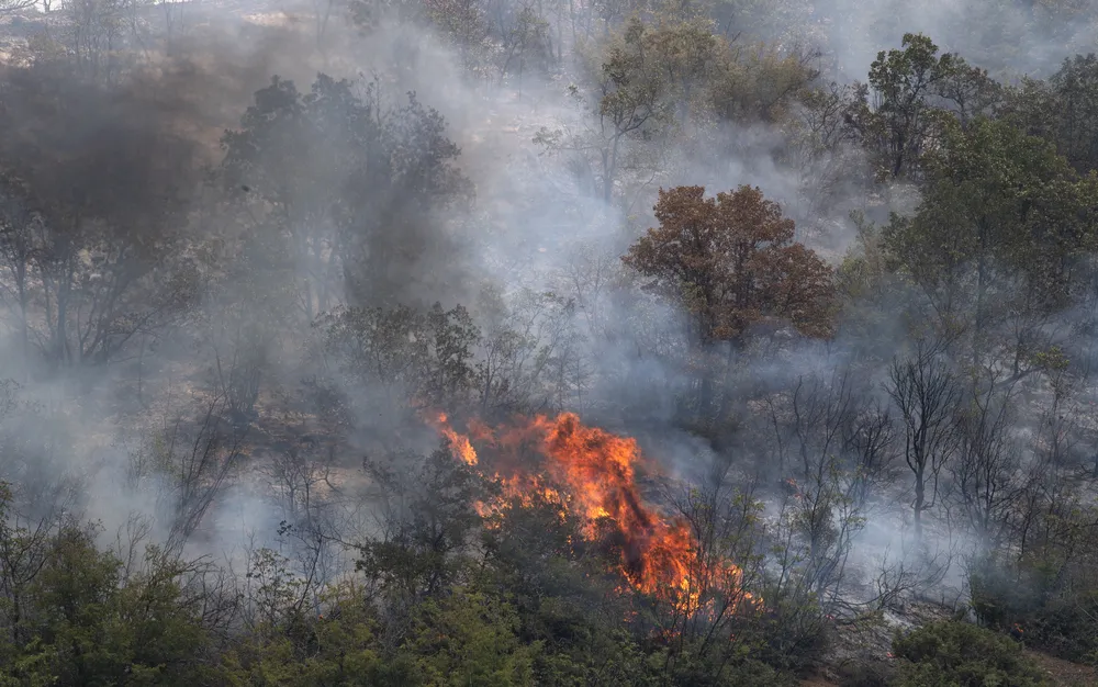 6 загинали при пожар в Сърбия