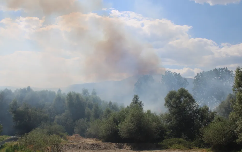 Горят храсти и сухи треви високо в Рила планина