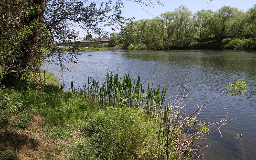 Издирват момче на 9 години, влязло да се къпе в река Марица