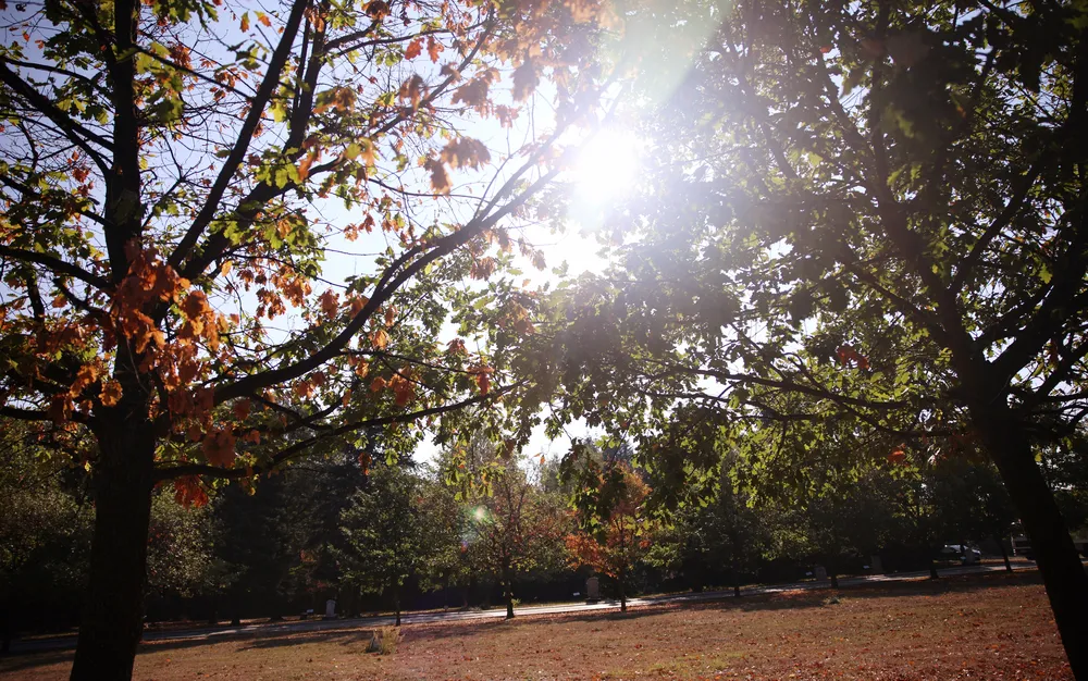 Слънчево, затоплянето продължава и днес
