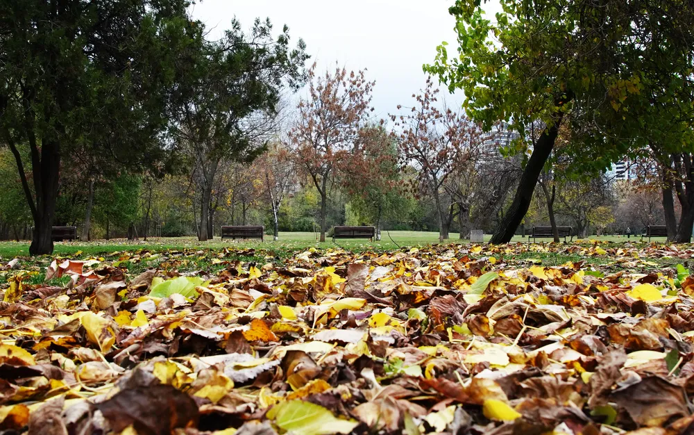 Енергизиращи съвети за есента