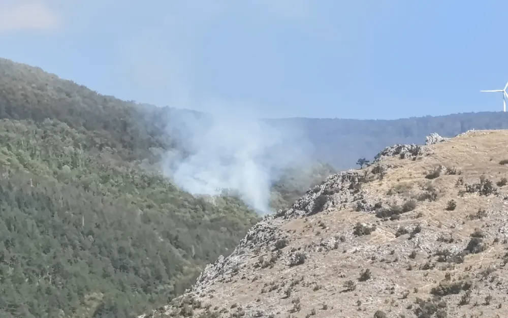 Огнеборци гасят пожар в гората под връх Бузлуджа - СНИМКИ