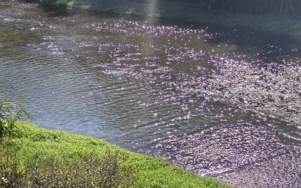 Под надзора на Районна прокуратура – Перник се разследва допуснато замърсяване на река Струма