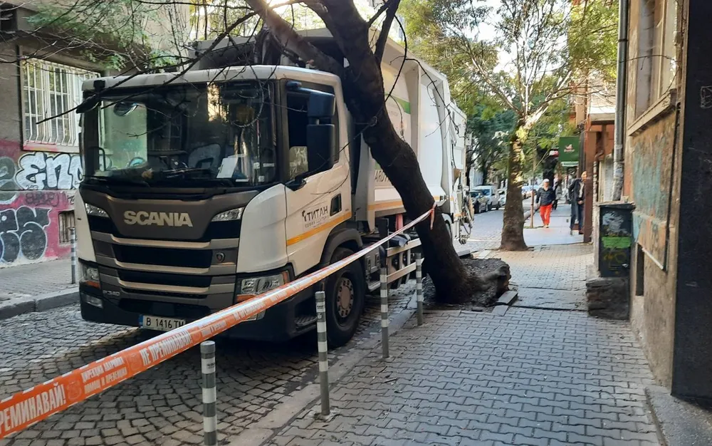 Камион за боклук изкърти дърво на улица „Христо Белчев“ в София - СНИМКИ