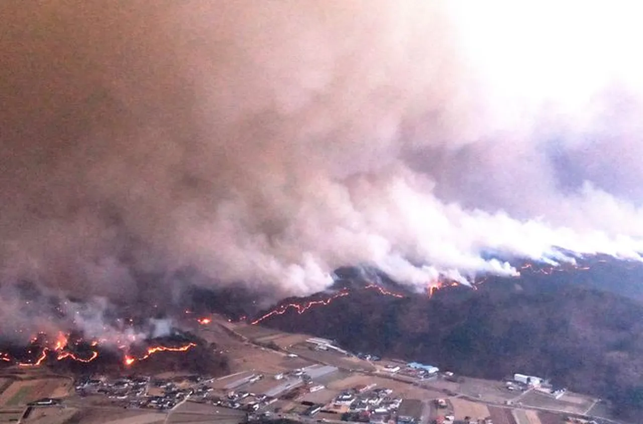 26 души загинаха при горските пожари в Южна Корея, избухнали на 22 и 23 март