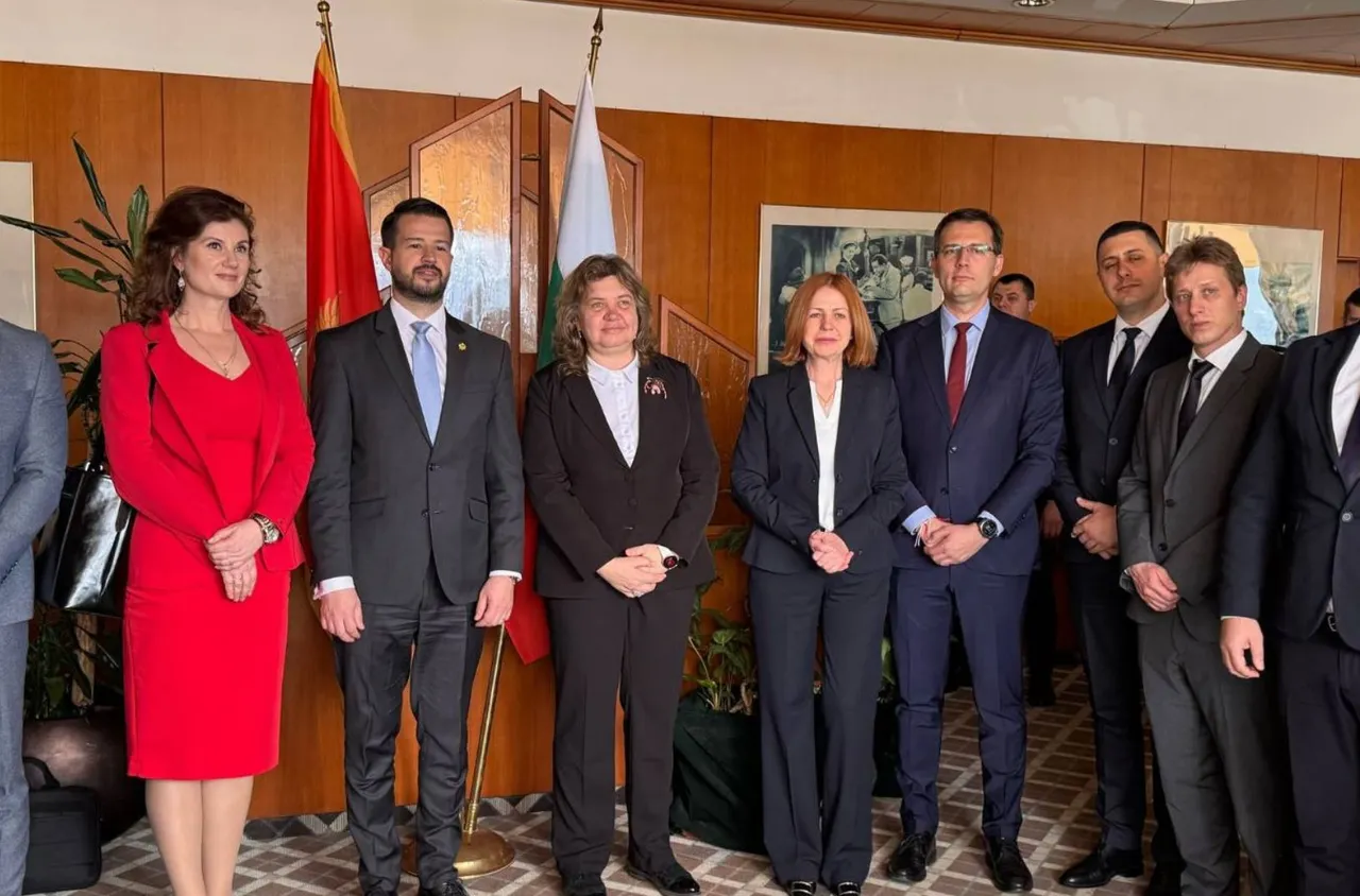 Петър Петров пред президента на Черна гора: Влизането в Еврозоната може да нанесе щети