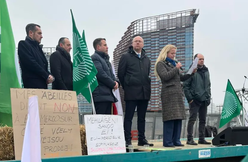 Евродепутатът от "Европа на суверенните нации" Станислав Стоянов 