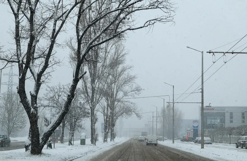 157 снегопочистващи машини обработиха територията на Столична община срещу заледяване