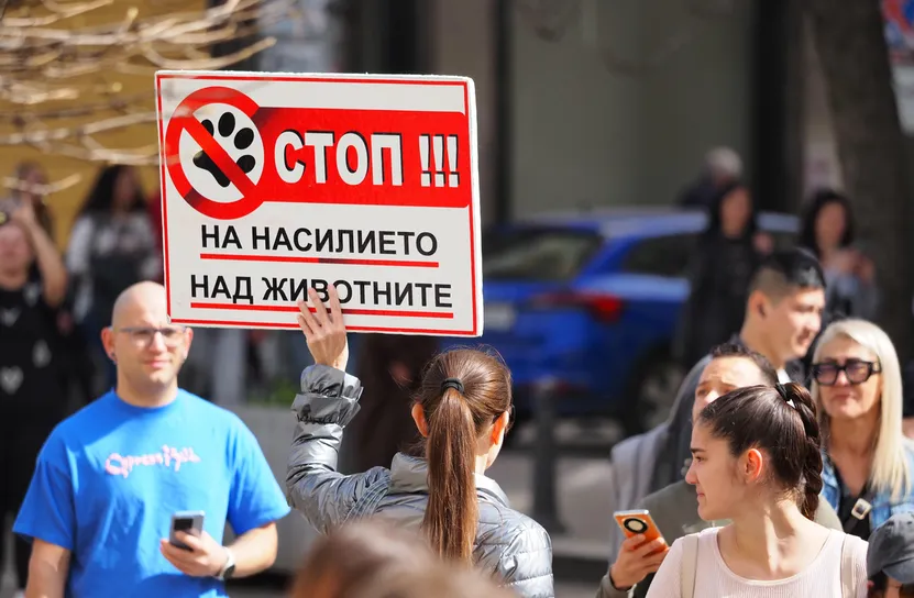 Прокуратурата в Перник ще предостави информация за случая с насилието над животни