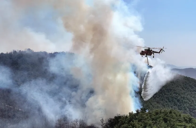 Южна Корея се бори с опустошителни горски пожари