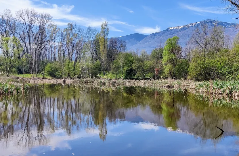 Започна възстановяването на езерата в Южния парк по идея на граждани