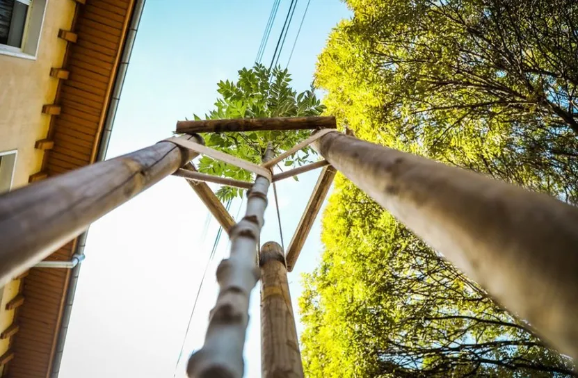 Над 1600 нови дръвчета и храсти ще бъдат засадени в София