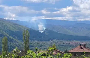 Пожар в планината над Крупник община Симитли ВИДЕО
