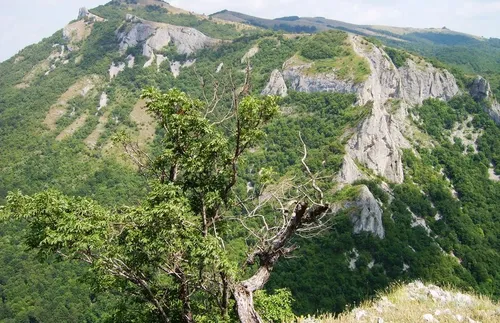 Спасиха изгубени туристи в Котленския Балкан