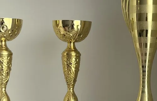 Шампиони по борба изгледаха дебютния турнир за Купа "Дупница"