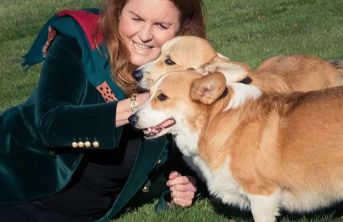 Коргито на кралица Елизабет бърка Сара Фъргюсън със своята покойна стопанка