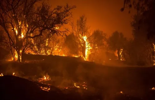 Гърция изпрати два самолета, за да се справят с горския пожар в Кипър