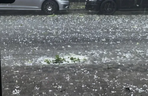 Велико Търново се съвзема от мощната буря, отнесла покрив на училище - СНИМКИ - ВИДЕО