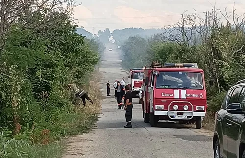 Две общини в Сакар планина обявиха частично бедствено положение заради пожари