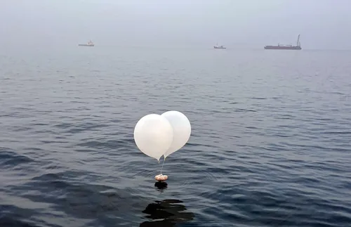 В балоните с боклук на Северна Корея са открити паразити и разкъсани дрехи