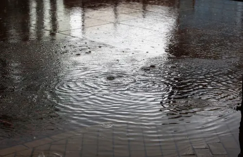 Мощна буря мина през Монтанско