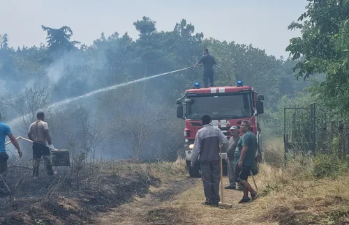 Плевенско, Габровско, Видинско и Великотърновско – застрашени от пожари